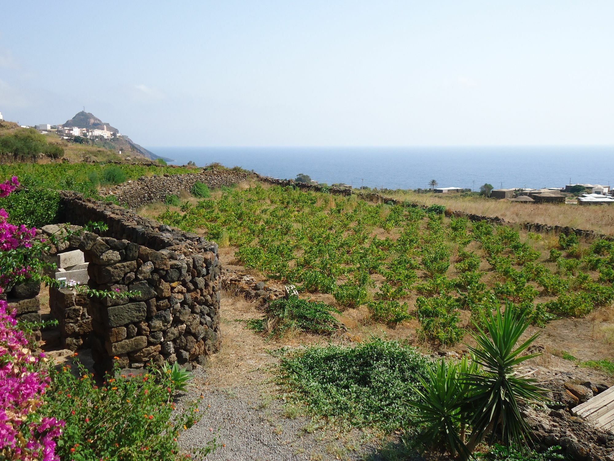Agriturismo Zibibbodoro Scauri  Eksteriør bilde