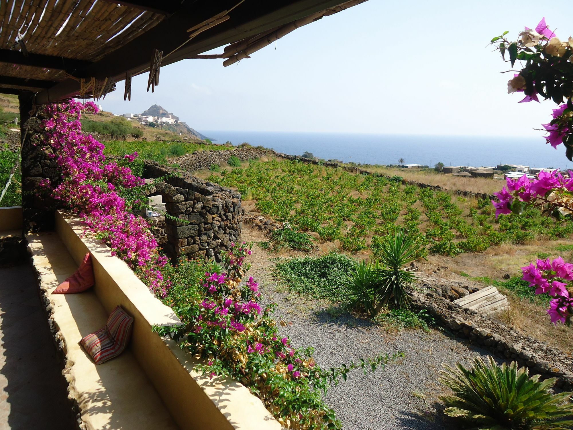 Agriturismo Zibibbodoro Scauri  Eksteriør bilde