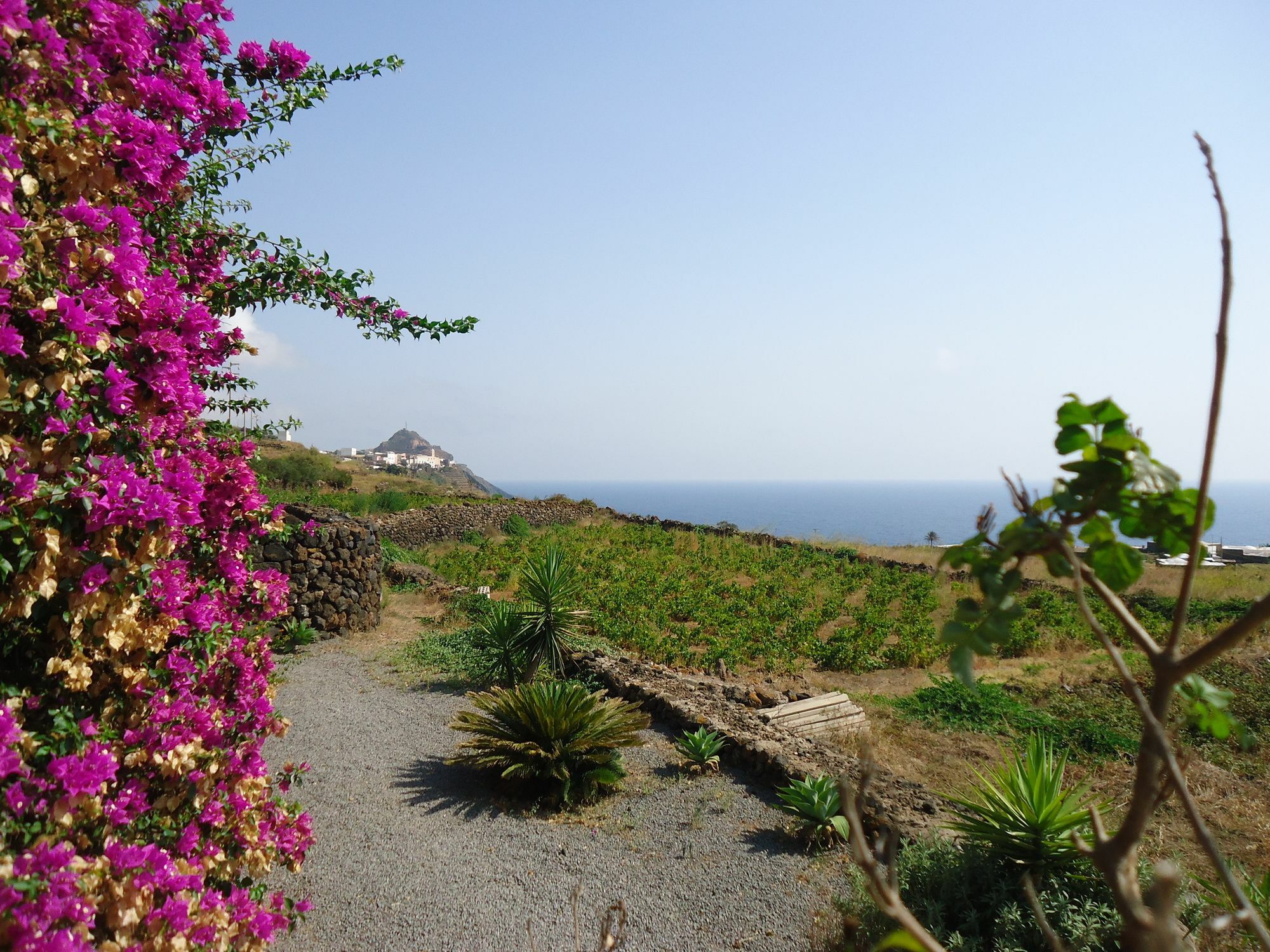 Agriturismo Zibibbodoro Scauri  Eksteriør bilde